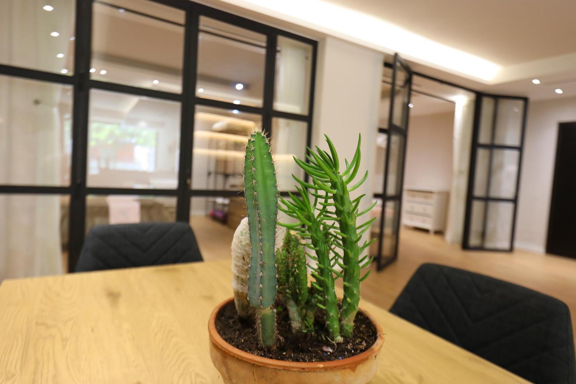 Amantia Apartment Vlorë 外观 照片